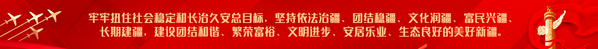 ="牢牢扭住社会稳定和长治久安总目标"