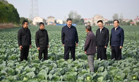 习近平在湖北考察调研