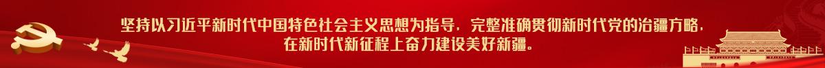 ="坚持以习近平新时代中国特色社会主义思想为指导"